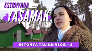 ESTONYADA YAŞAMAK NASIL BİR ŞEY   ESTONYA VLOG 2 [upl. by Oiramej]