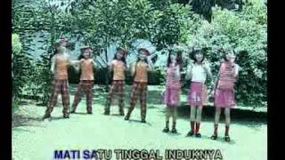 Tek Kotek Kotek Kotek  Lagu AnakAnak Indonesiaflv [upl. by Skiba]