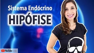 Hipófise Sistema Endócrino  Anatomia e etc [upl. by Onaivatco125]