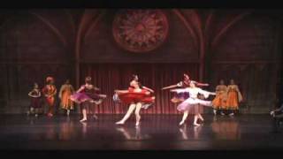 Atlanta Dance Theatres The Making of Swan Lake ballet [upl. by Ginzburg812]