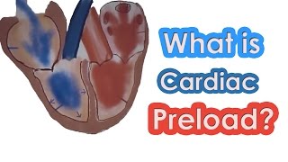 What is Cardiac Preload [upl. by Hera849]