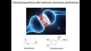 Farmacoquímica del sistema nerviso autónomo  Parte 3  Adrenérgicos Dr Jaime Mella [upl. by Cahra]