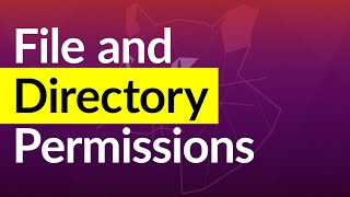 Linux File Permissions Commands with Examples [upl. by Alica111]