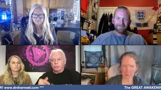 David Icke Christianne Van Wijk Dr Sharnael Laura Eisenhower amp Craig Walker The Great Awakening [upl. by Belanger437]