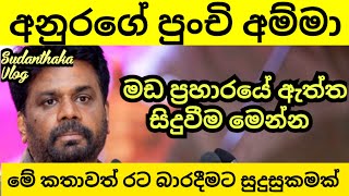 අනුරට මඩ ගහන පුංචි අම්මගේ කතාව [upl. by Kanter]