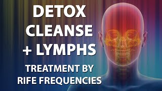 Detox Cleanse Lymphs Lymphatic System  RIFE Frequencies Treatment  Quantum Medicine Bioresonance [upl. by Ludvig]