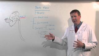 Treatments for Kidney Tumors  Kenneth Nepple MD [upl. by Livesay689]