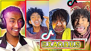 የ EXODUS ኤክሶደስ በሳቅ ገዳይ ቪደዮች [upl. by Ytoc307]