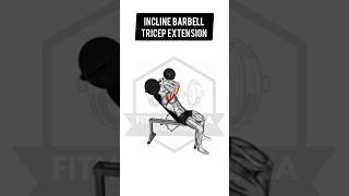 How to do Incline Barbell Tricep Extension [upl. by Nylirej]