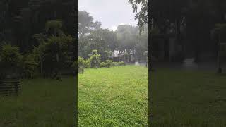 Rainmarkable nature rain sleepmusic rainsounds relaxing raining rainreels enjoyrain [upl. by Notled]