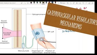 Cardiovascular Regulatory Mechanisms  Blood Pressure  CVS  PHYSIOLOGY [upl. by Dloreg]