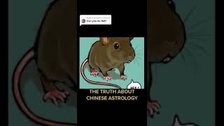 Chinese Zodiac Sign Rat🐀  Part1 shorts chineseastrology chinesezodiac gg33 [upl. by Eannaj28]