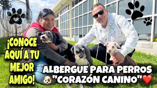 🐶Así es un ALBERGUE de adopción para perros  ❤️Corazón Canino A C  Todo lo que debes saber [upl. by Katlaps632]