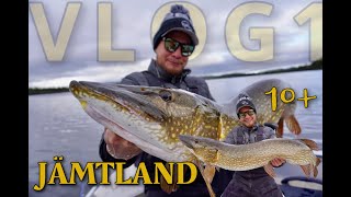 Höstfiske i kallt vattenVLOG¹ [upl. by Hebe]