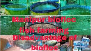 Part2 Biofloc ki magjaba  manipur biofloc fish farming [upl. by Yllom]