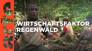 Kamerun Der grüne Terror  ARTE Reportage Reupload 2018 [upl. by Rimisac]