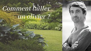 Comment tailler un olivier [upl. by Madalena]