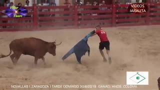 RESUMEN 2019 4ª PARTE VACAS Y TOROS EN LOS PUEBLOS [upl. by Ttirb]