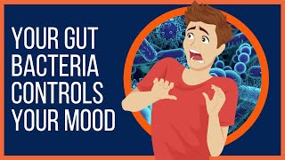 How Your Gut Bacteria Controls Your Mood [upl. by Rahman]