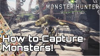 MONSTER HUNTER WORLD ICEBORNE How to Capture Monsters Guide [upl. by Micky]