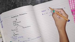 Purine Synthesis part 1 nucleotideMetabolism biochemistry [upl. by Coop]