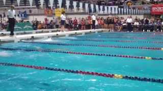 Wenatchee High School 200 Medley Relay State 2013 School Record [upl. by Mercer]