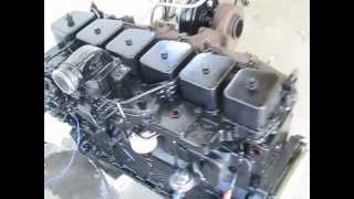 59 cummins Turbo Diesel VE pump intercooled startup [upl. by Elspet]