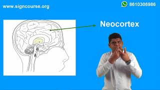 Limbic System and Neocortex [upl. by Niasuh]