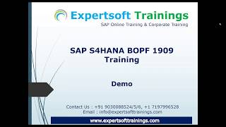 SAP S4HANA BOPF 1909 Training  SAP S4HANA BOPF 1909 Online Training [upl. by Hcirdla]