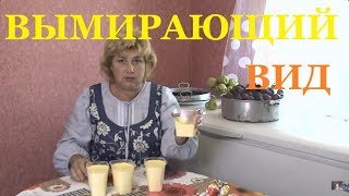 Вы думаете что видели деревню зрители про ипотеку [upl. by Ybreh]