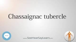 Chassaignac tubercle Anatomy Named After People 🔊 [upl. by Smukler]