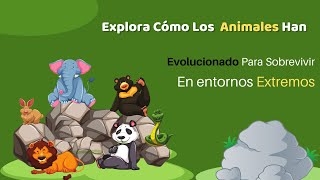 quot¡Descubre las Adaptaciones Animales Más Increíbles que Te Dejarán Asombradoquot [upl. by Oicapot856]