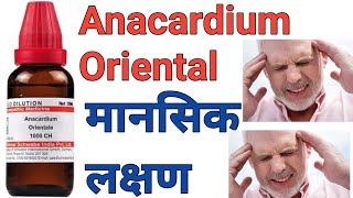 Anacardium Orientale 30200 dosage homeopathic medicine uses in hindi [upl. by Mildred]