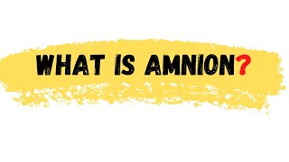 What is Amnion  Amnion Definition  Amnion meaning  Amnion [upl. by Ehgit558]