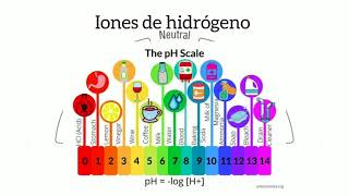 La Regulación del pH en el cuerpo humano [upl. by Oisacin]