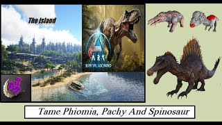 ARK Survival Ascended TAME PHIOMIA PACHY AND SPINOSAUR  MAP THE ISLAND  MHG 4K  33 [upl. by Llewellyn85]