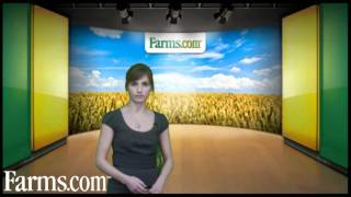 Farmscom A look at the USDA WASDE and Crop Production Reports [upl. by Salkin970]