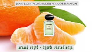 Armani Privé Cyprès Pantelleria de Giorgio Armani para mujeres y hombresIngredientes Principales [upl. by Giffer]