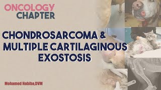 chondrosarcoma amp MCE lecture 3 [upl. by Crofoot710]