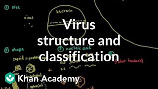 Virus structure and classification  Cells  MCAT  Khan Academy [upl. by Nolra]