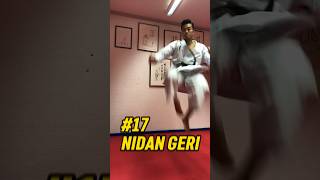 Karate Basics NIDAN GERI maetobigeri nidangeri karate martialart jumpkick maegeri shotokan [upl. by Lindon]