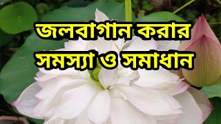 জল বাগান করার সমস্যা ও সমাধান ll Problems and solutions in water gardening [upl. by Standish]