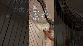 Bach Gavotte バッハガボット [upl. by Ttnerb848]