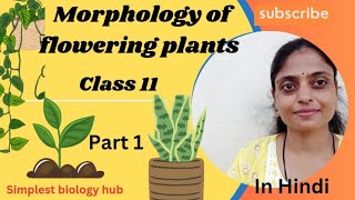 Morphology of flowering plant ☘️ class 11 by simplest biology hub Part 1 [upl. by Mickie]