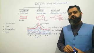 Lichens English medium  Prof Masood fuzail  Types of Lichens  Crustose Lichens  Fruticose lichen [upl. by Odrareve448]