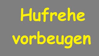 Hufrehe vorbeugen [upl. by Fusuy]