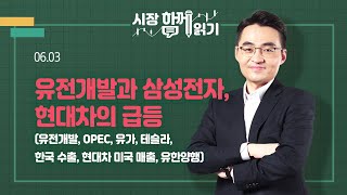 시장함께읽기 6월 3일 유전개발과 삼성전자 현대차의 급등유전개발 OPEC 유가 테슬라 한국 수출 현대차 미국 매출 유한양행 [upl. by Meares]