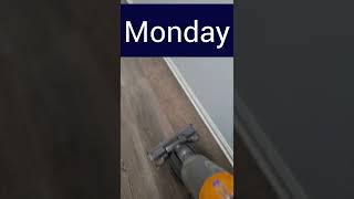 A daily cleaning schedule makes house cleaning so much faster and easier [upl. by Sicard]