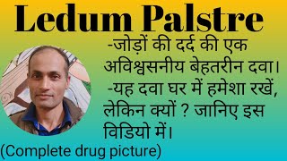 Ledum Palstre  Ledum Pal Homeopathic Medicine Uses  Homeopathic medicine for Rheumatism and injury [upl. by Dulcine827]