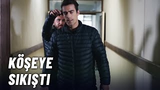 Ferhat Köşeye Sıkıştı  Siyah Beyaz Aşk Özel Klip [upl. by Siloam]